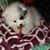 Wendy Everett McMurdo's profile image