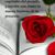 Maricruz Valtierra's profile image