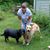 Denise Pittenger's profile image