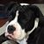 Terri Hayes's profile image