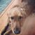 Jenni Kirchner's profile image