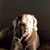 Judy Wilde's profile image