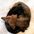 Joani Hodges Chambers's profile image