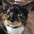 Debbie Blackwood Luna's profile image