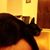 Beverly Leech Parker's profile image