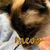 Efoss Jean's profile image