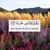 Naila Al Muhannadi's profile image