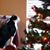 JoAnn Jones Boyd's profile image