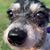 Monica Hockett Kissling's profile image