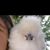 Mary Webb's profile image