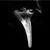 Sasha Marie Dees's profile image