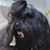 Carol Burt's profile image