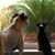 Nancy Jaeger-Lindgren's profile image
