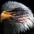 Mike Van Schuyver's profile image