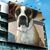 Carla Hatfield's profile image