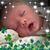 Janelle Bower Ruff's profile image