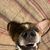 W Neal Mccowan's profile image