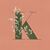 Katy Bialczak's profile image