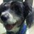 Janie Morris's profile image