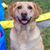 Sue Payne Farley's profile image