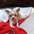 Nicole Chumsky's profile image