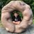 Jesse G. Donat's profile image