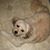 Candy Daulton's profile image