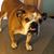 Julie Ackerman Draise's profile image