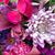 Colleen Koster-Heinle's profile image