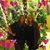Judy Fischer Neuhauser's profile image