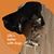 Tammy Smith-Golden's profile image