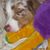 Rebecca Peters's profile image