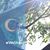 Youssra Dakroury's profile image