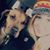 Aimee Preiss's profile image