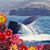 Tami Smith Alderman's profile image