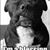 Doug Middelkamp's profile image