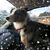 Heather Coots's profile image