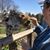 Judy Smithcronk's profile image