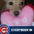Sherri Winkelmann's profile image