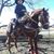 AngelyGuera Velez's profile image