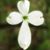 J'nell Moore Howell's profile image