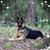 Buck Jones's profile image