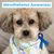 Lisa K. Kuehl's profile image