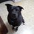 Christine Stidham's profile image
