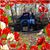 Mesha Smith's profile image
