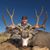 Ricky Bangerter's profile image