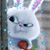 Carolyn J. Gagliarducci's profile image