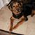 Gail Johnson's profile image