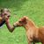 Stacy D Davis's profile image