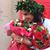 Clara Donati's profile image